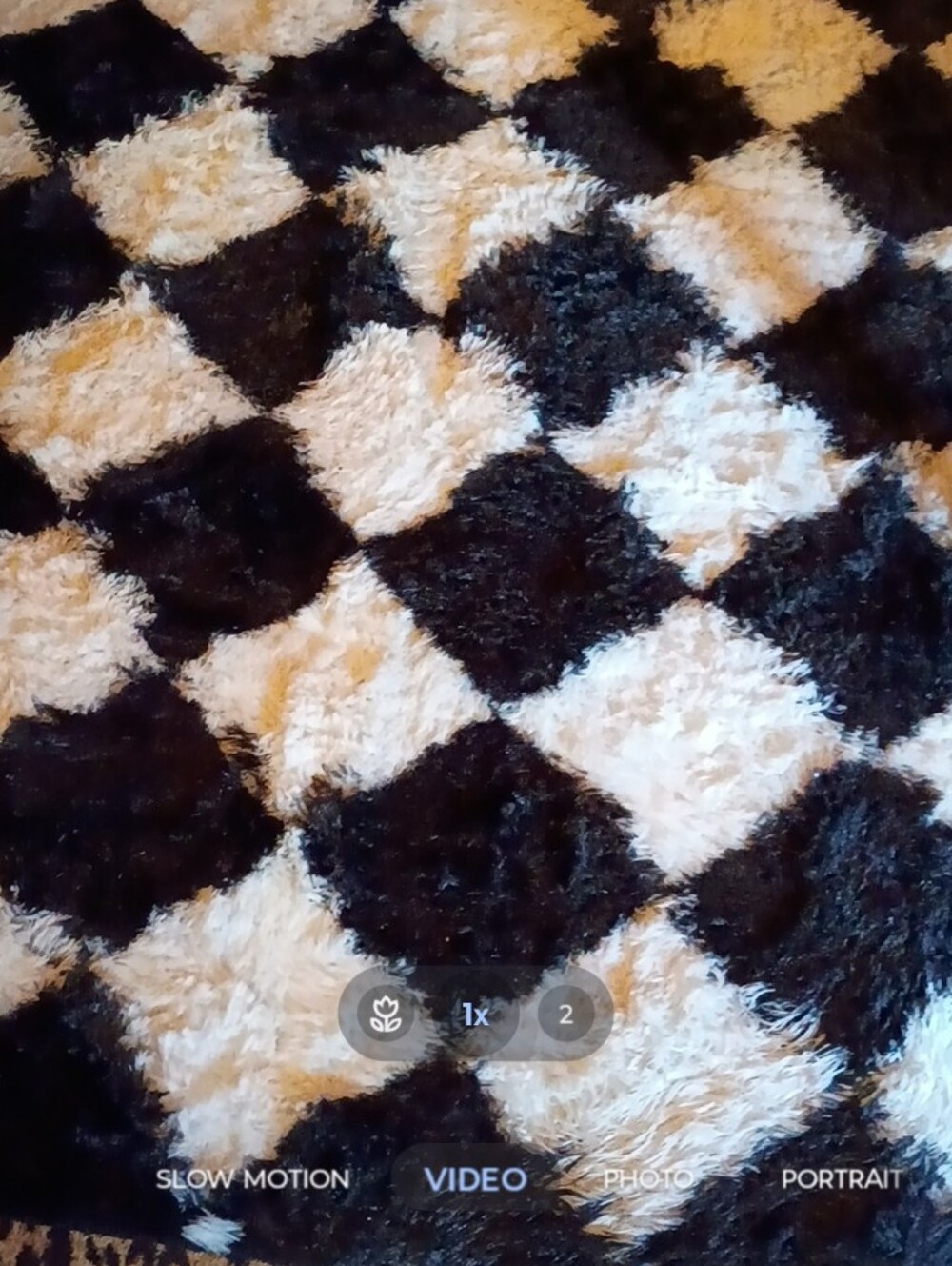 Plush Black and White Shag Rug